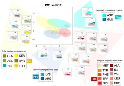 Characterizing Hydropathy of Amino Acid Side Chain in a Protein Environment by Investigating the Structural Changes of Water Molecules Network